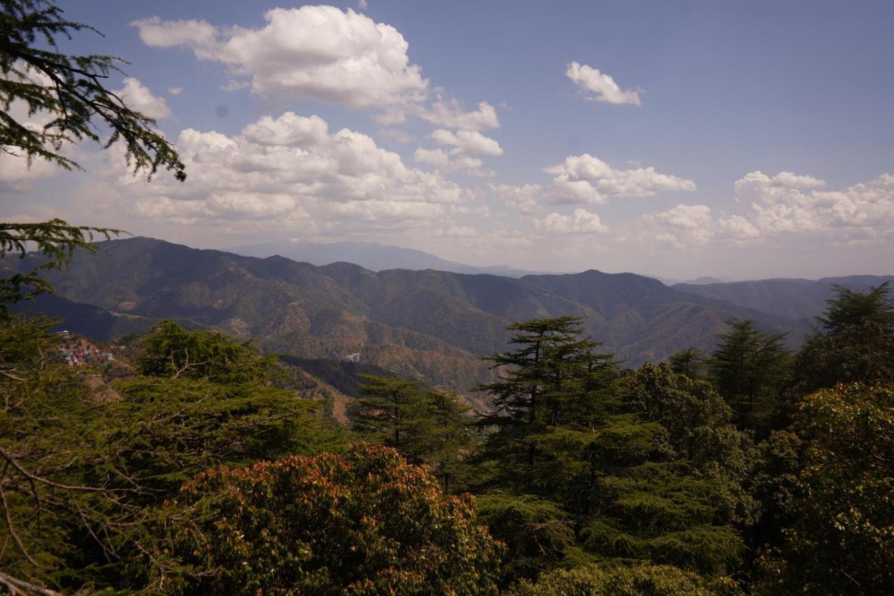 Jakhu Vibes Shimla Exterior foto