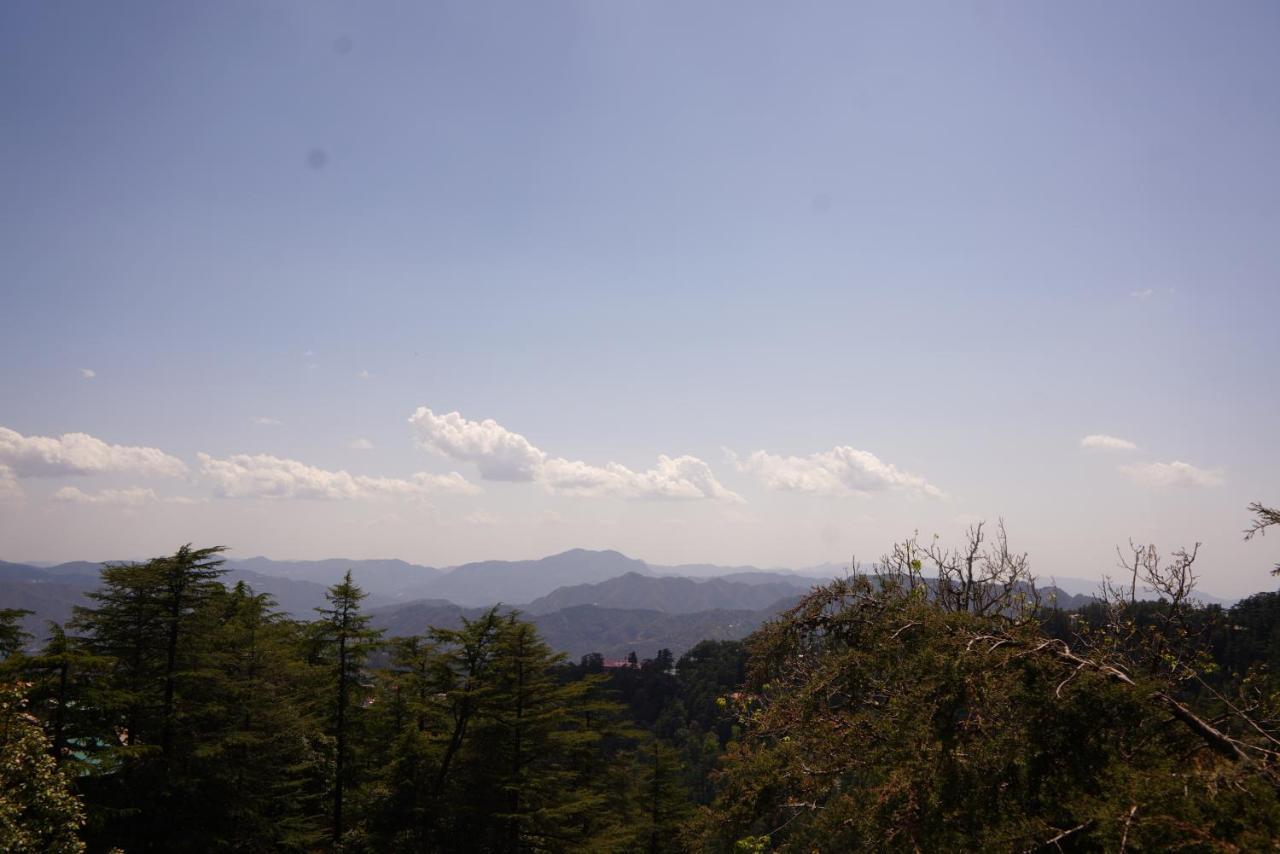 Jakhu Vibes Shimla Exterior foto