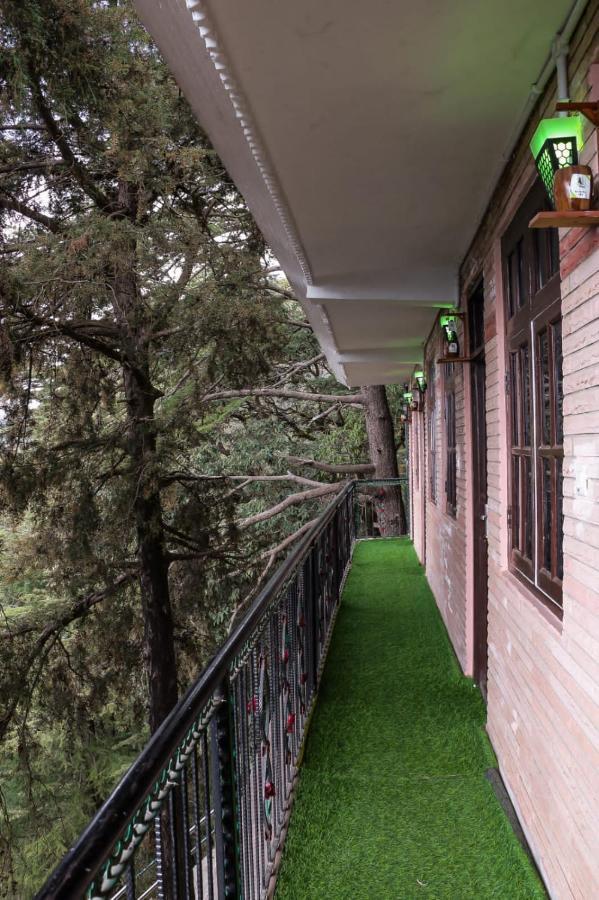 Jakhu Vibes Shimla Exterior foto