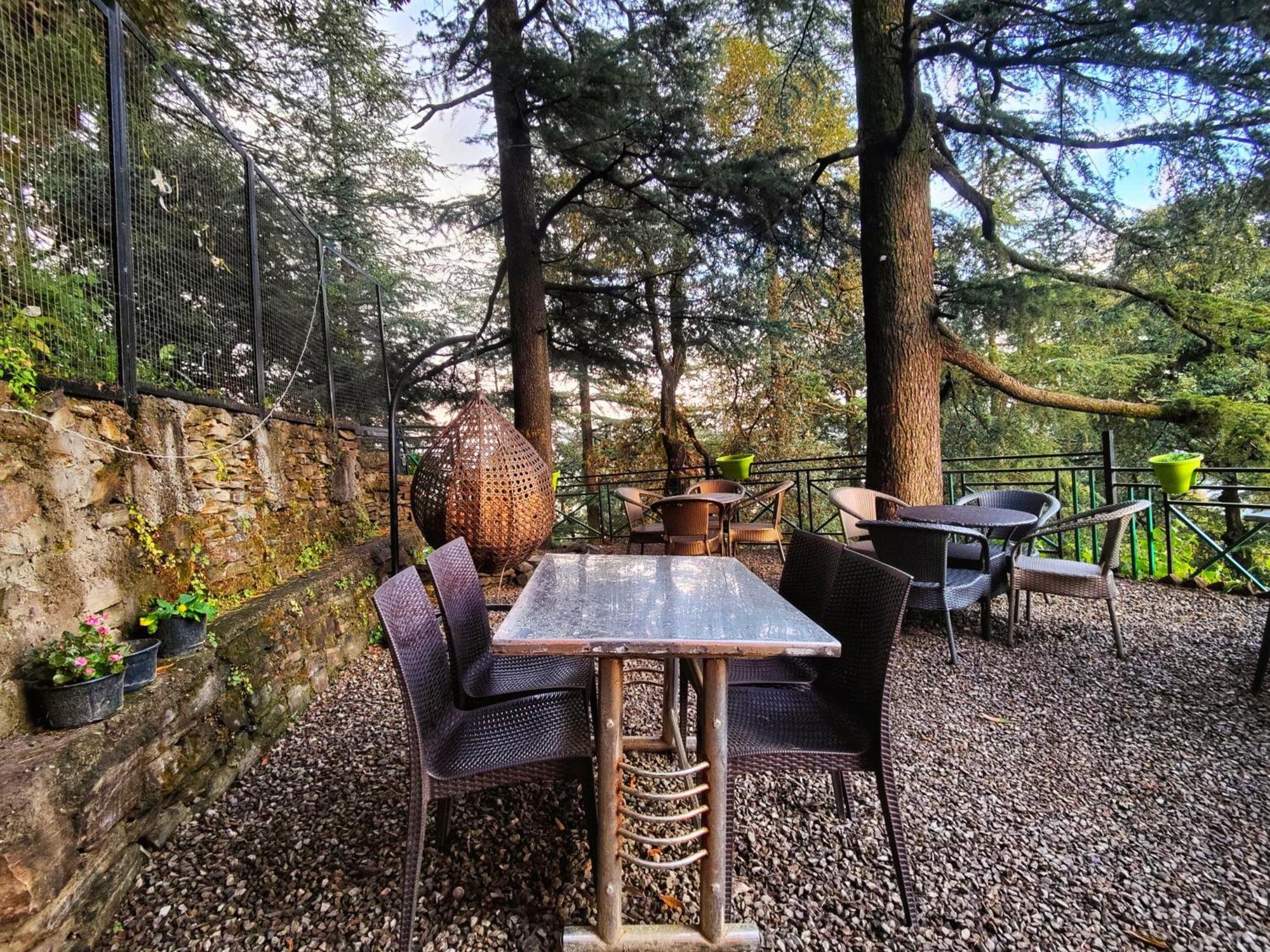 Jakhu Vibes Shimla Exterior foto