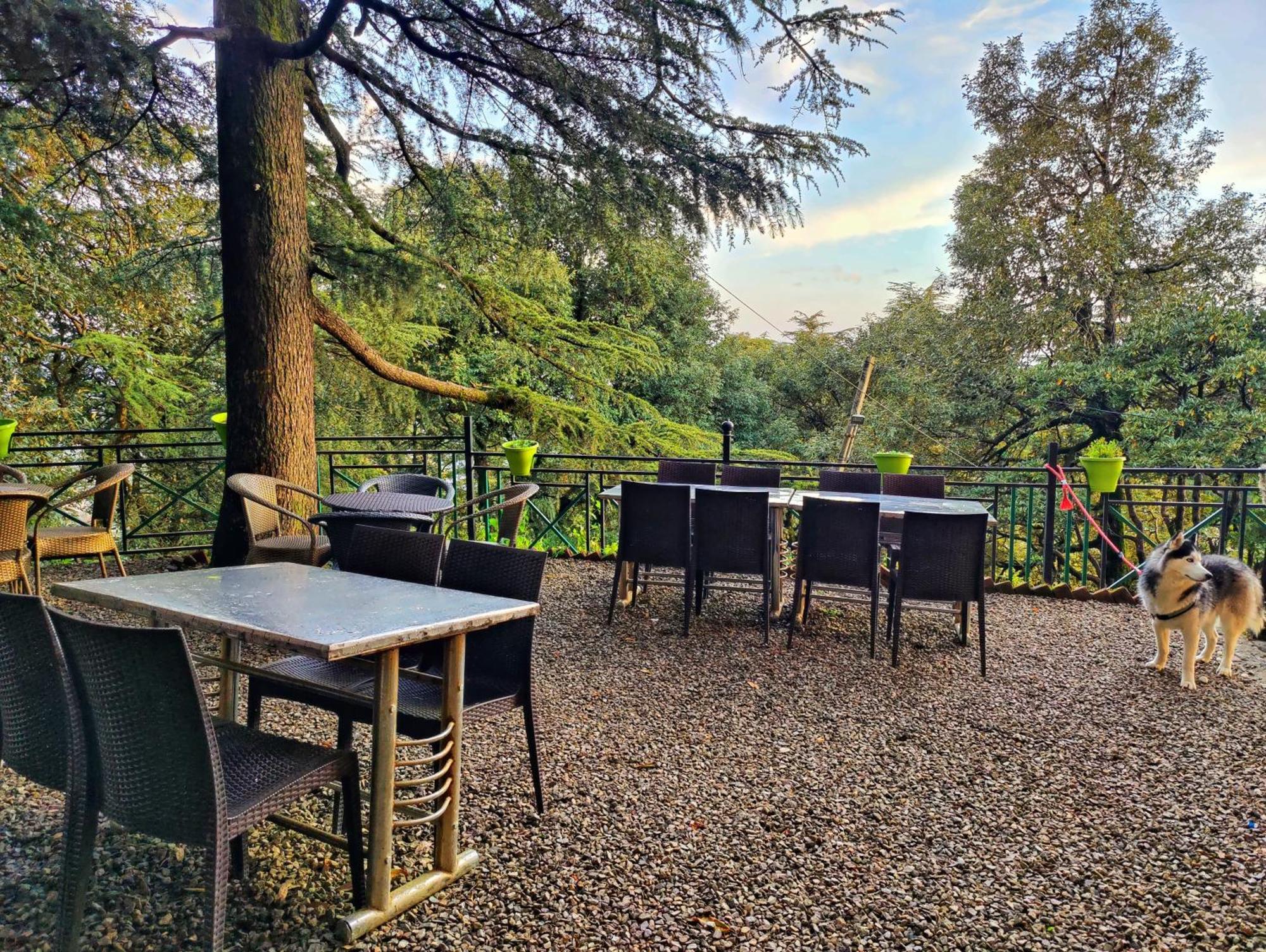 Jakhu Vibes Shimla Exterior foto